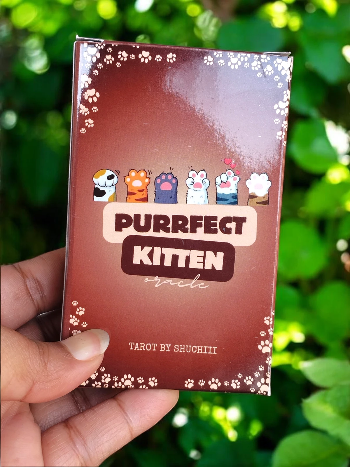 Purrfect Kitten Oracle