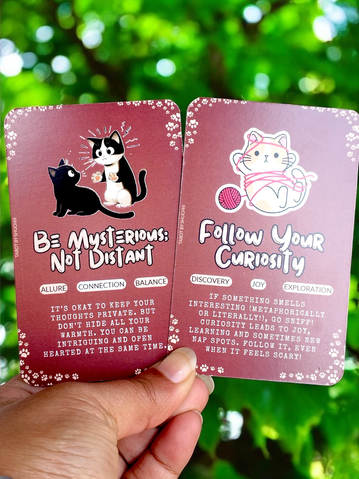 Purrfect Kitten Oracle 3