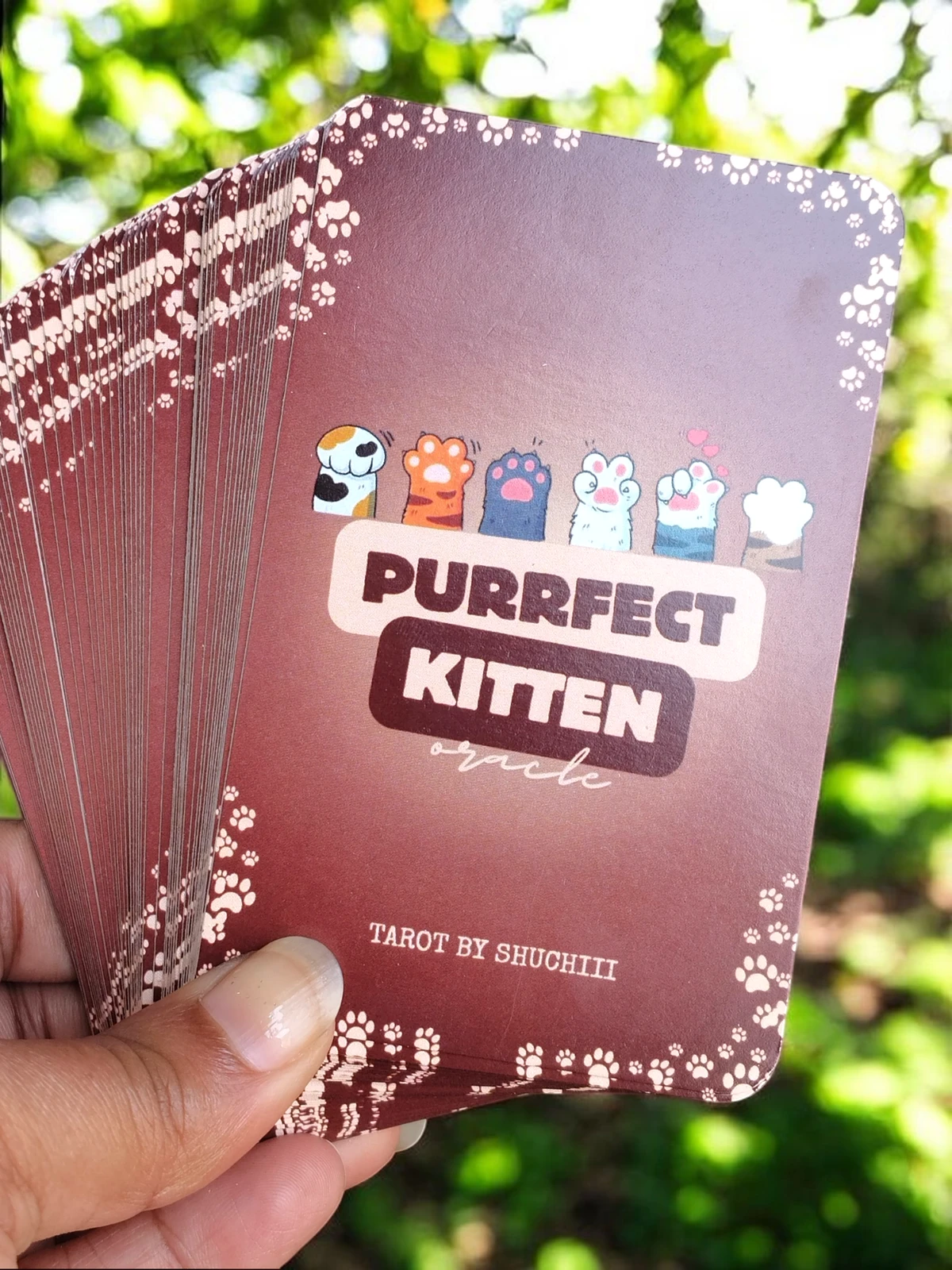 Purrfect Kitten Oracle 4